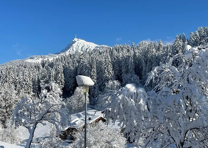 Seebichlhof By Alpine Host Helpers * Kitzbühel