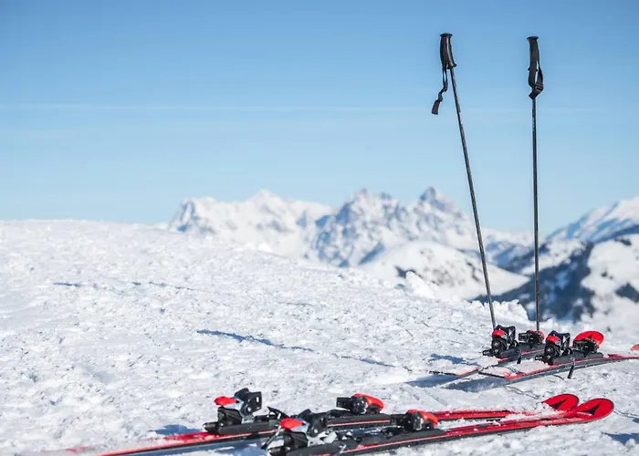 公寓 Seebichlhof By Alpine Host Helpers 基茨比厄尔